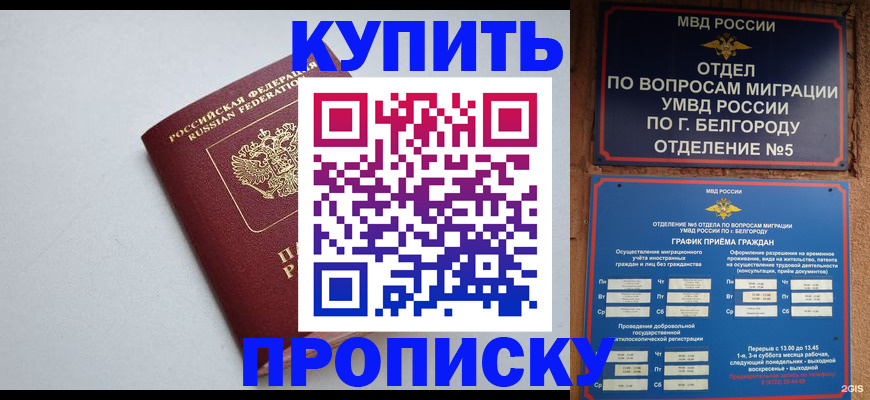 прописка регистрация в Щёлкино